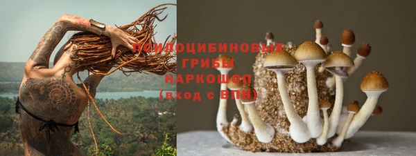 дурь Козельск