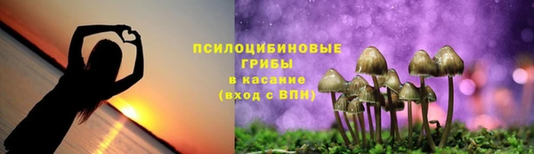 apvp Кодинск