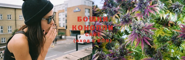 дурь Козельск
