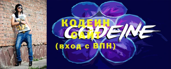 гашик Киренск