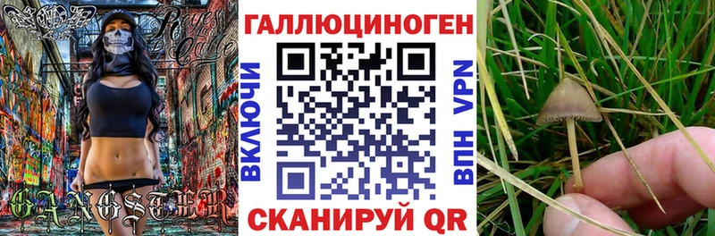 Псилоцибиновые грибы MAGIC MUSHROOMS  Красновишерск 
